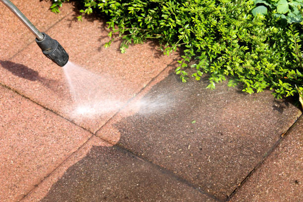 Best Power Washing Near Me  in New Martinsville, WV